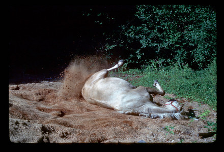 Slide926.jpg
